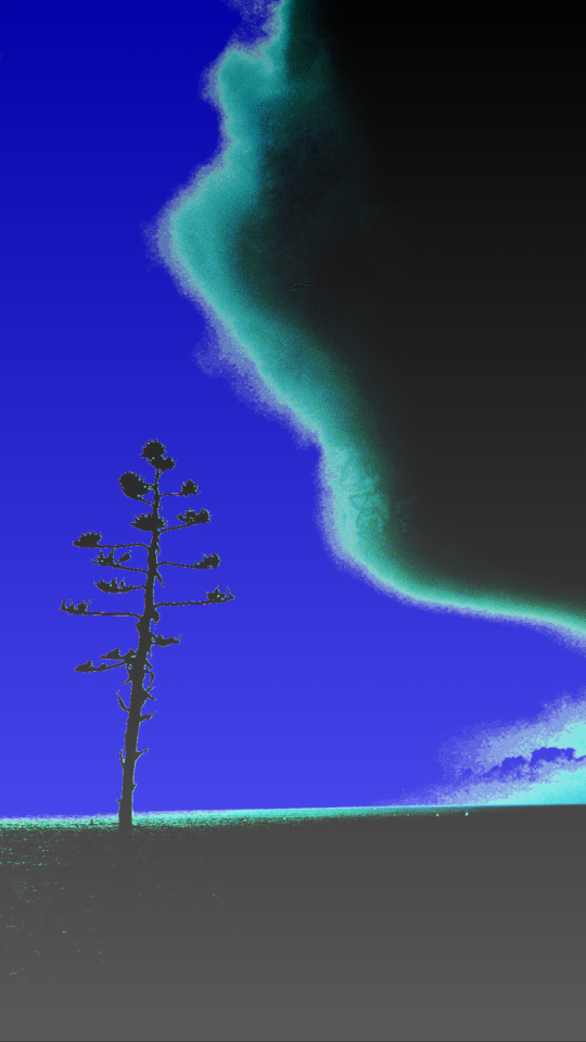 5e3f6657d5d646ff9e7d892a3e890b07.png